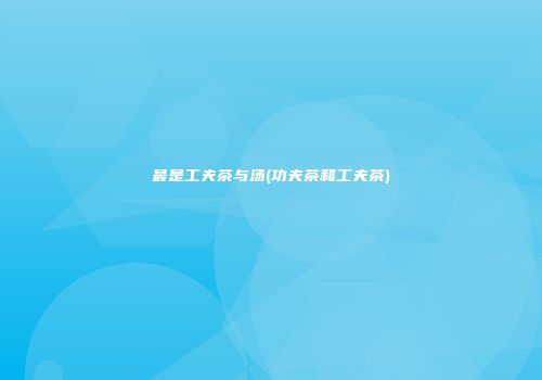 最是工夫茶与汤(功夫茶和工夫茶)