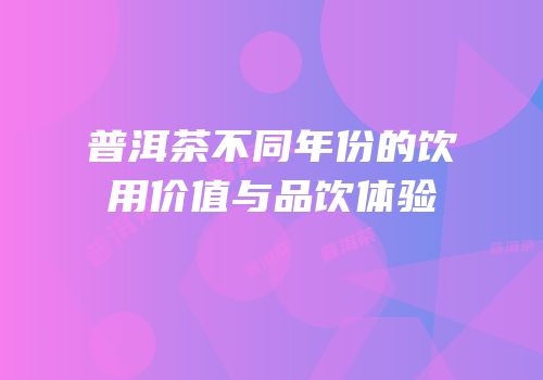 普洱茶不同年份的饮用价值与品饮体验