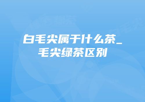 白毛尖属于什么茶_毛尖绿茶区别