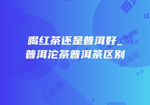 喝红茶还是普洱好_普洱沱茶普洱茶区别