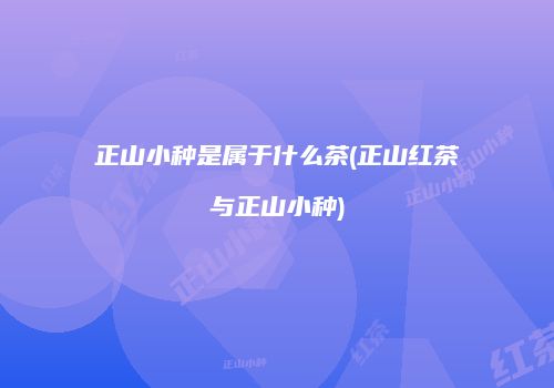 正山小种是属于什么茶(正山红茶与正山小种)