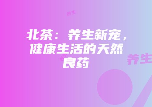 北茶：养生新宠，健康生活的天然良药