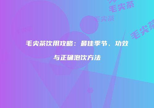 毛尖茶饮用攻略：最佳季节、功效与正确泡饮方法