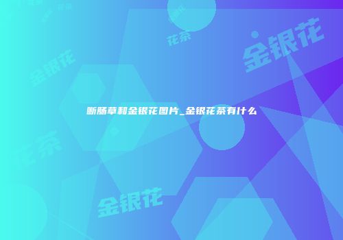 断肠草和金银花图片_金银花茶有什么