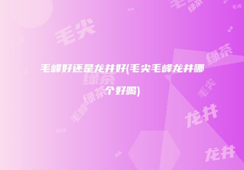 毛峰好还是龙井好(毛尖毛峰龙井哪个好喝)