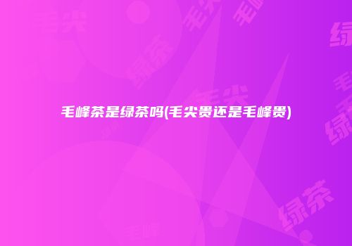 毛峰茶是绿茶吗(毛尖贵还是毛峰贵)