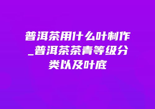 普洱茶用什么叶制作_普洱茶茶青等级分类以及叶底