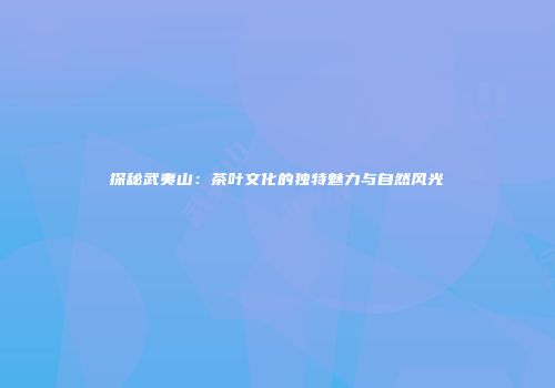 探秘武夷山：茶叶文化的独特魅力与自然风光