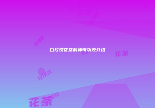 白玫瑰花茶的神奇功效介绍
