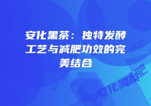 安化黑茶：独特发酵工艺与减肥功效的完美结合