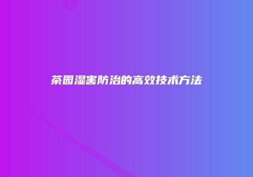 茶园湿害防治的高效技术方法