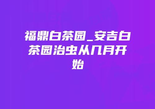 福鼎白茶园_安吉白茶园治虫从几月开始