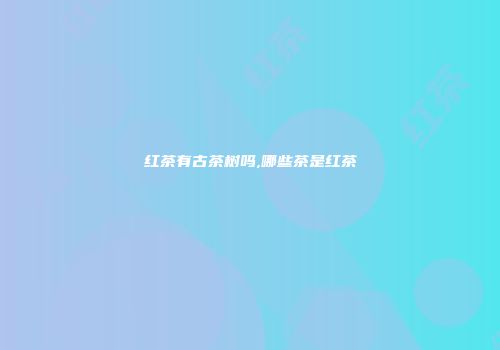 红茶有古茶树吗,哪些茶是红茶