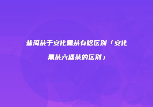 普洱茶于安化黑茶有啥区别「安化黑茶六堡茶的区别」
