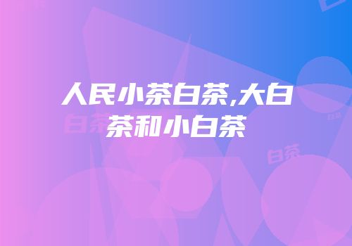 人民小茶白茶,大白茶和小白茶