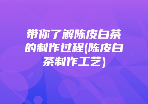 带你了解陈皮白茶的制作过程(陈皮白茶制作工艺)