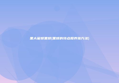 黑大蜜蜂黑蜂(黑蜂的特点和养殖方法)
