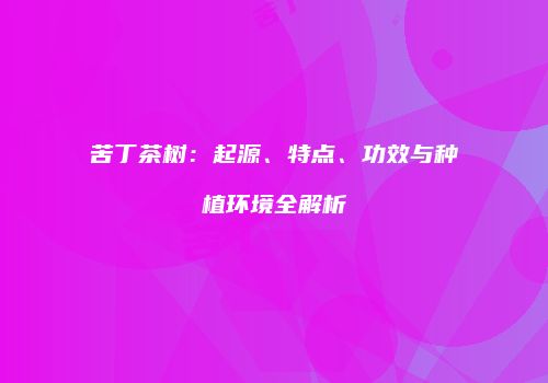 苦丁茶树：起源、特点、功效与种植环境全解析