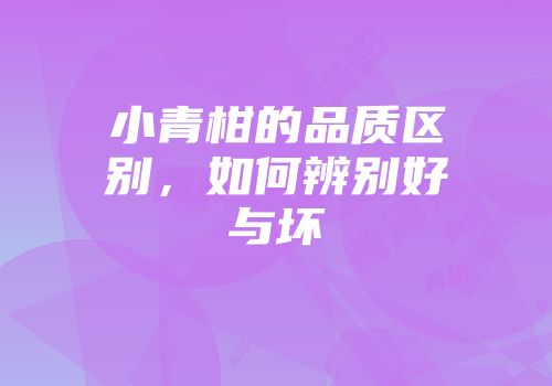 小青柑的品质区别，如何辨别好与坏