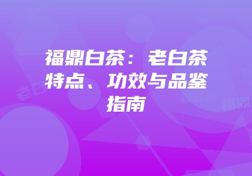 福鼎白茶：老白茶特点、功效与品鉴指南