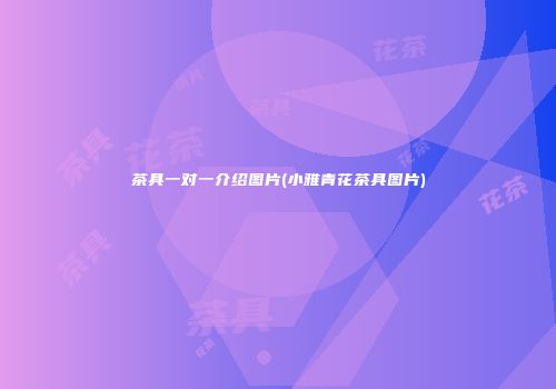茶具一对一介绍图片(小雅青花茶具图片)