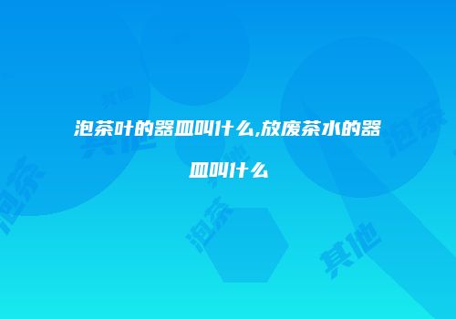 泡茶叶的器皿叫什么,放废茶水的器皿叫什么