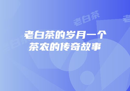 老白茶的岁月一个茶农的传奇故事