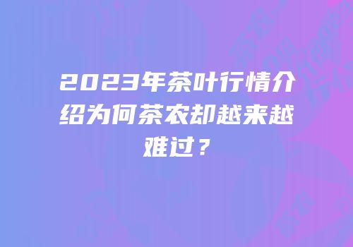 2023年茶叶行情介绍为何茶农却越来越难过？
