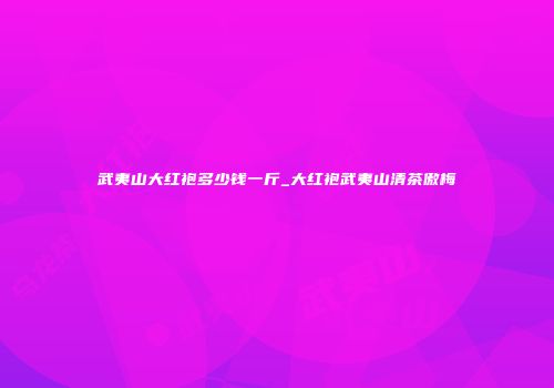 武夷山大红袍多少钱一斤_大红袍武夷山清茶傲梅