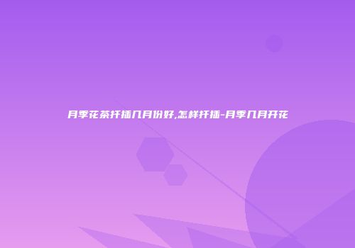 月季花茶扦插几月份好,怎样扦插-月季几月开花