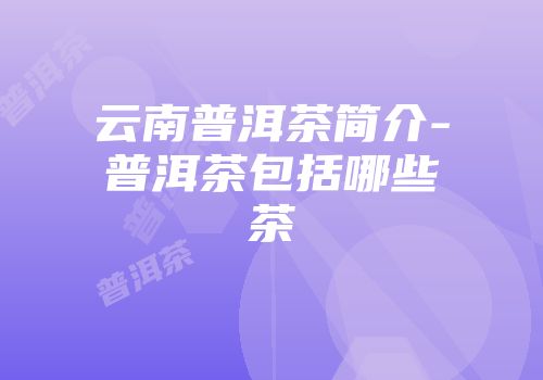 云南普洱茶简介-普洱茶包括哪些茶