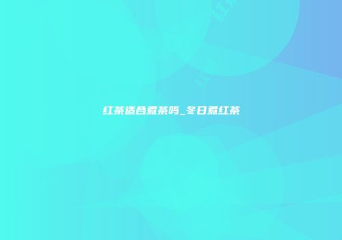 红茶适合煮茶吗_冬日煮红茶