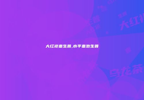 大红袍壶生普,水平壶泡生普