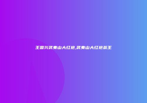 王国兴武夷山大红袍,武夷山大红袍茶王