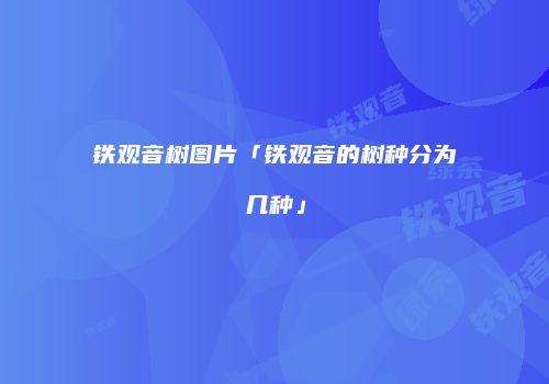 铁观音树图片「铁观音的树种分为几种」