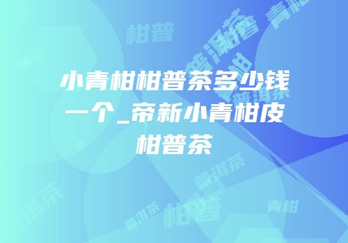 小青柑柑普茶多少钱一个_帝新小青柑皮柑普茶
