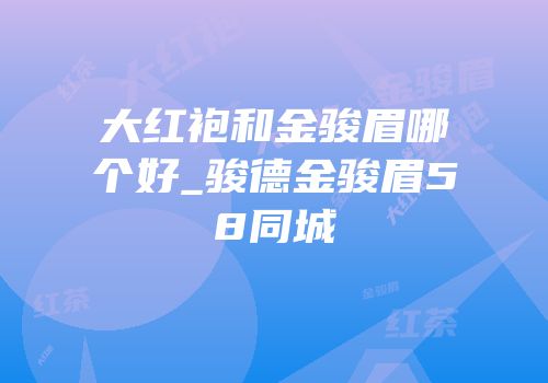 大红袍和金骏眉哪个好_骏德金骏眉58同城