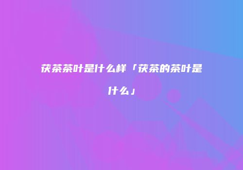茯茶茶叶是什么样「茯茶的茶叶是什么」