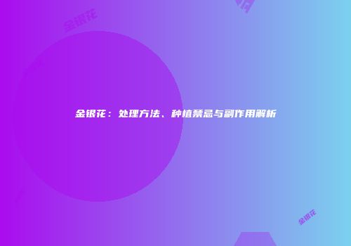 金银花：处理方法、种植禁忌与副作用解析