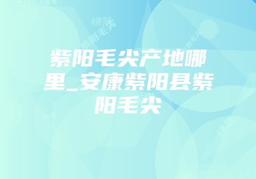 紫阳毛尖产地哪里_安康紫阳县紫阳毛尖