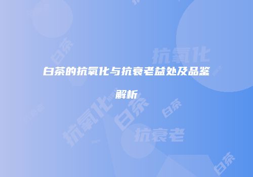 白茶的抗氧化与抗衰老益处及品鉴解析