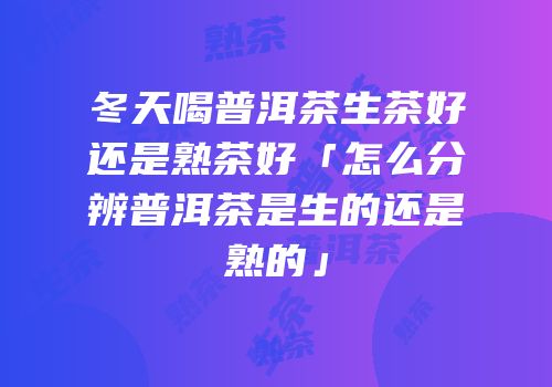冬天喝普洱茶生茶好还是熟茶好「怎么分辨普洱茶是生的还是熟的」