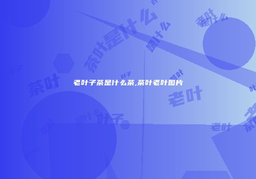 老叶子茶是什么茶,茶叶老叶图片