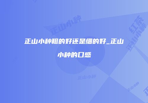 正山小种粗的好还是细的好_正山小种的口感