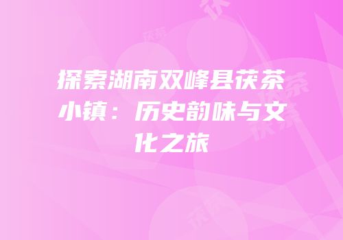 探索湖南双峰县茯茶小镇：历史韵味与文化之旅