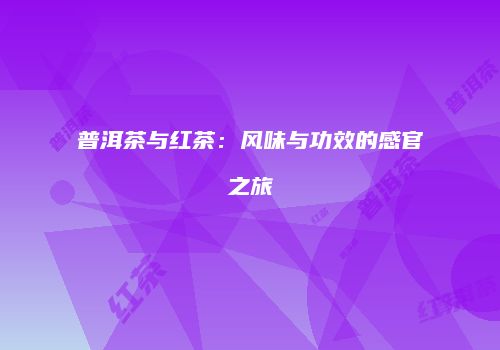 普洱茶与红茶：风味与功效的感官之旅
