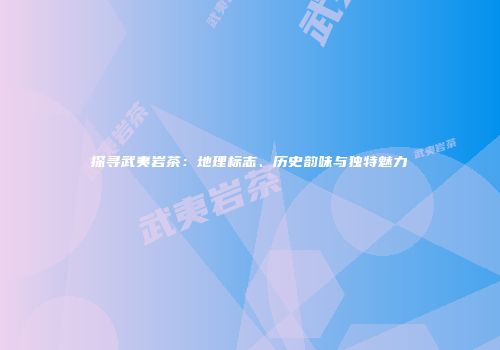 探寻武夷岩茶：地理标志、历史韵味与独特魅力
