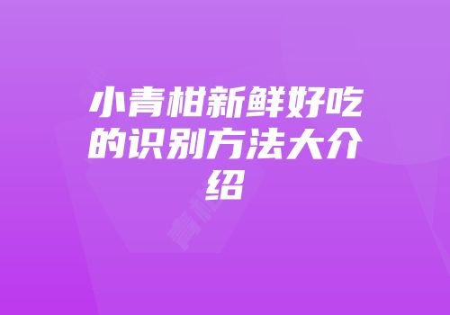 小青柑新鲜好吃的识别方法大介绍