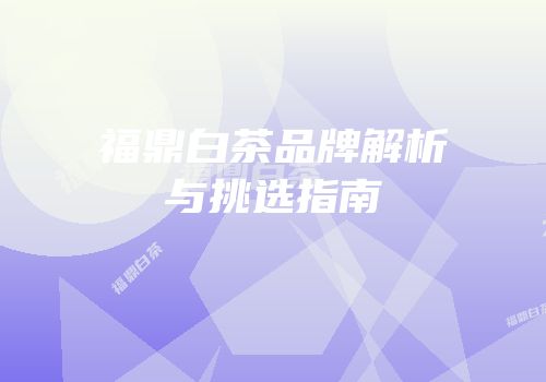 福鼎白茶品牌解析与挑选指南