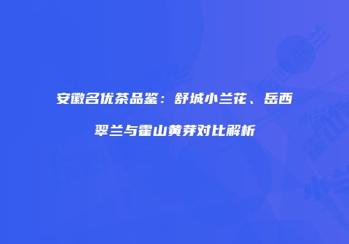 安徽名优茶品鉴：舒城小兰花、岳西翠兰与霍山黄芽对比解析